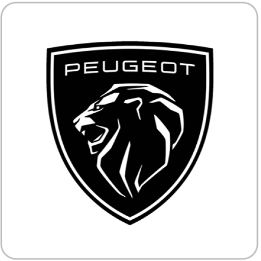 Taller Peugeot Turycar